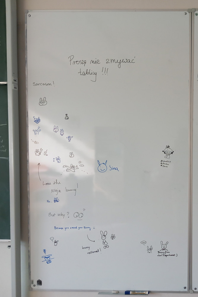 rysunki królików na tablicy