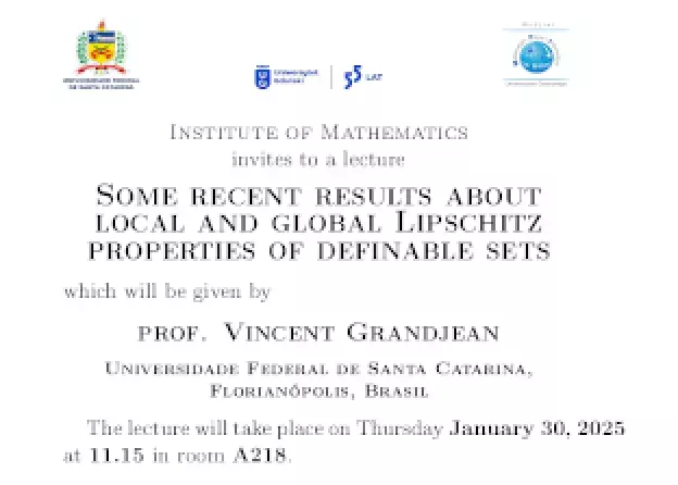 Some recent results about local and global Lipschitz properties of definable sets